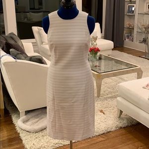 Never been worn sheath in beautiful fabric